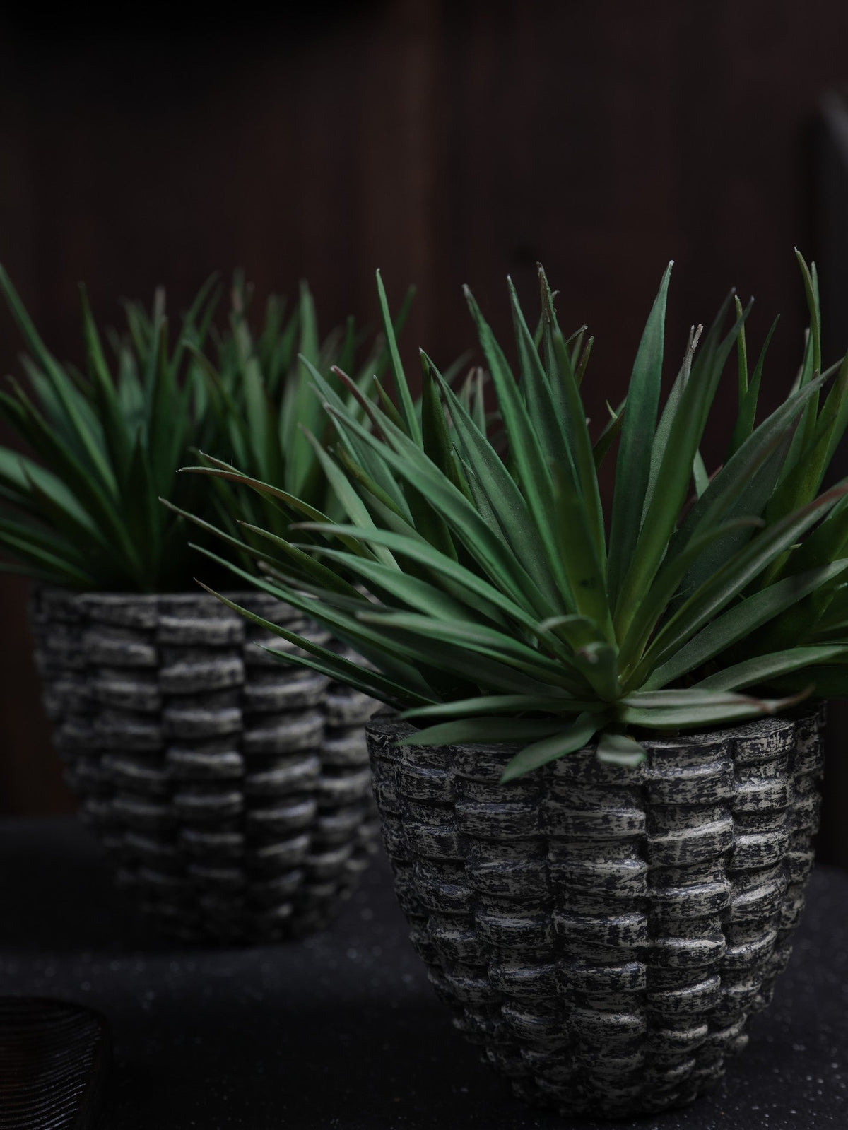 Planters