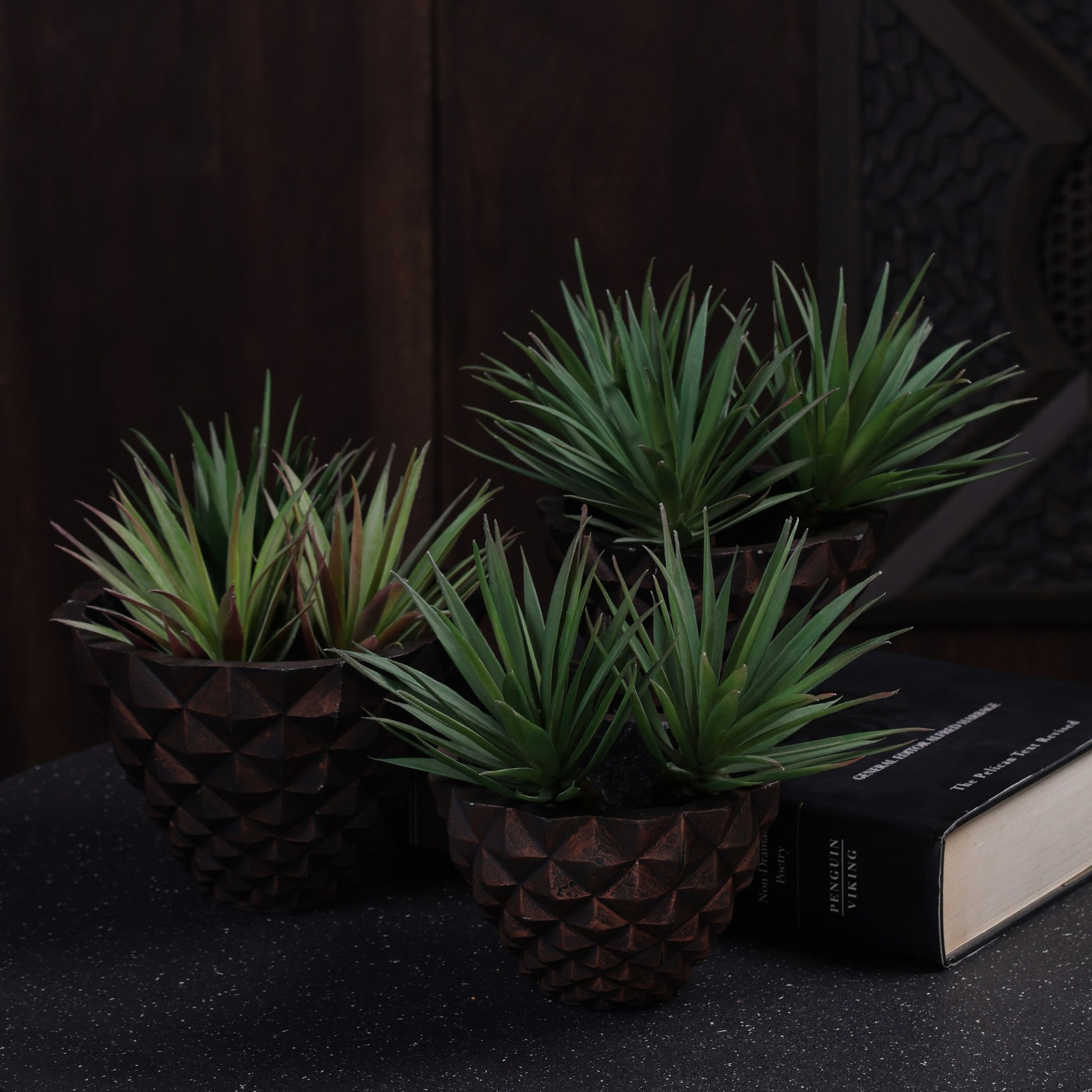 Pineara Succulent Holders - Copper