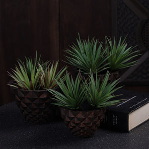 Pineara Succulent Holders - Copper