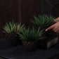 Geodara Succulent Holder - Copper