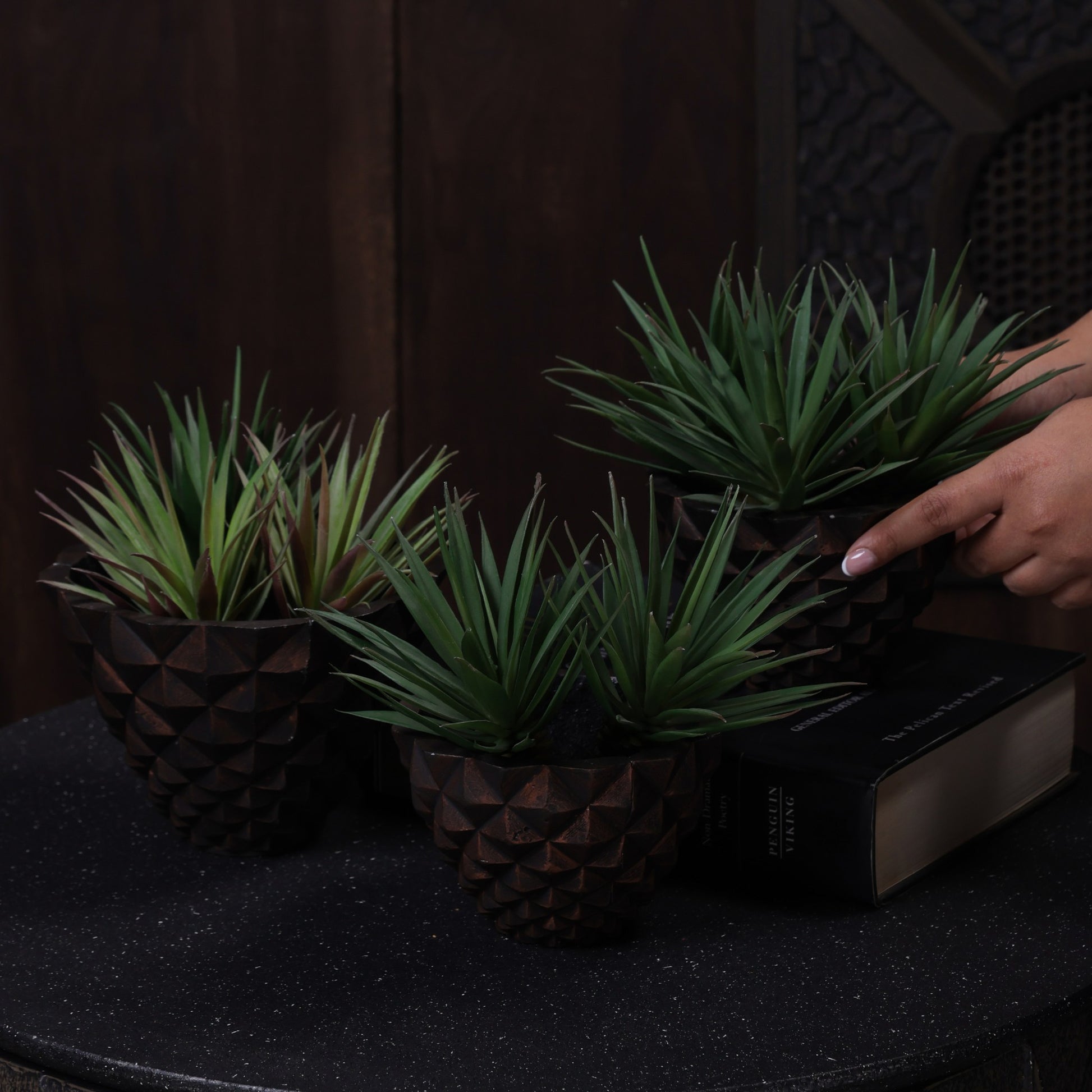 Geodara Succulent Holder - Copper