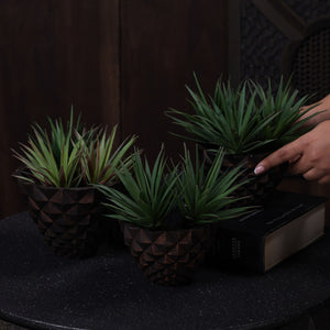 Geodara Succulent Holder - Copper