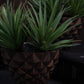 Geodara Succulent Holder - Copper