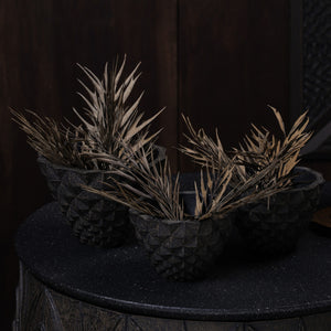 Geodara Succulent Holder - Brown