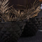 Geodara Succulent Holder - Brown