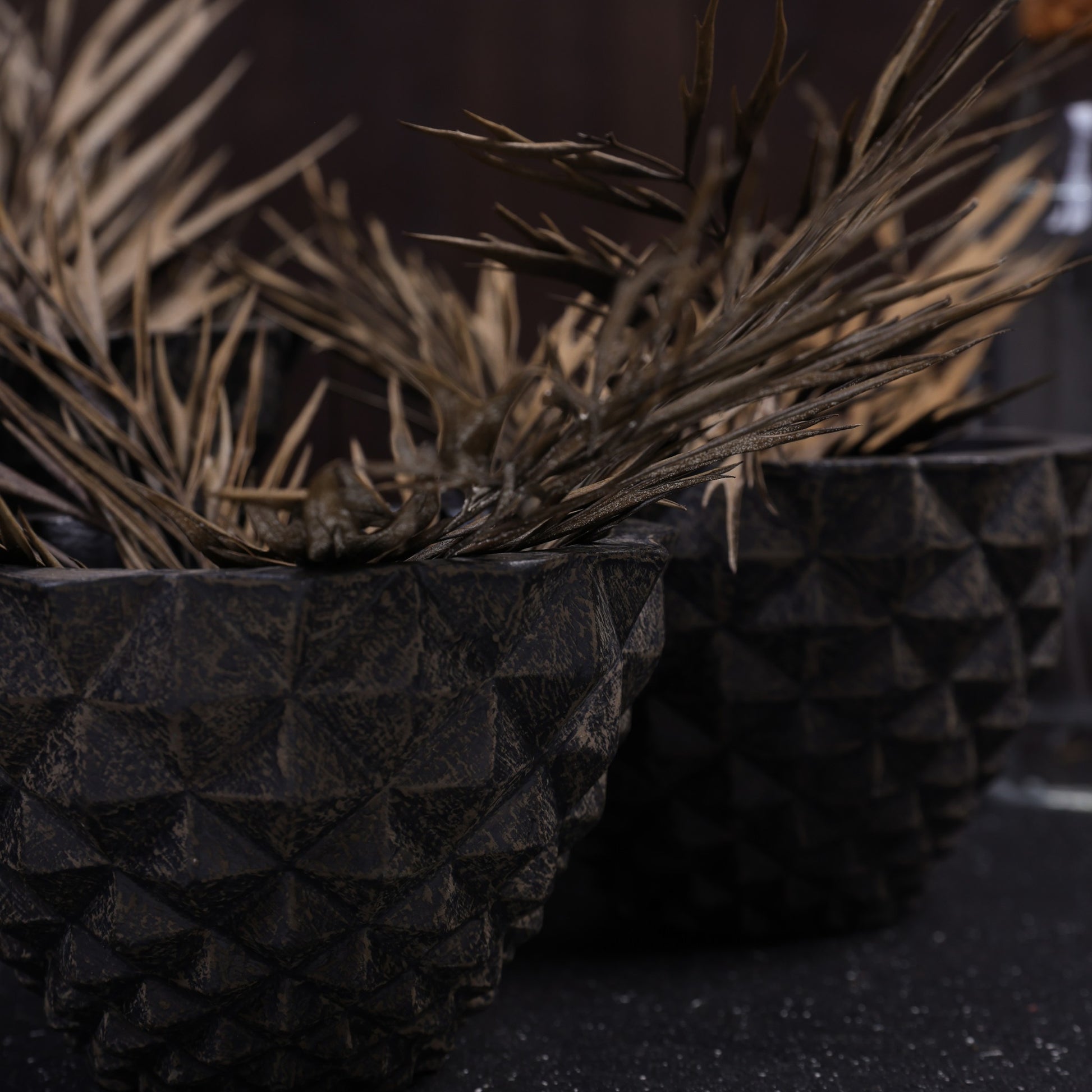 Geodara Succulent Holder - Brown