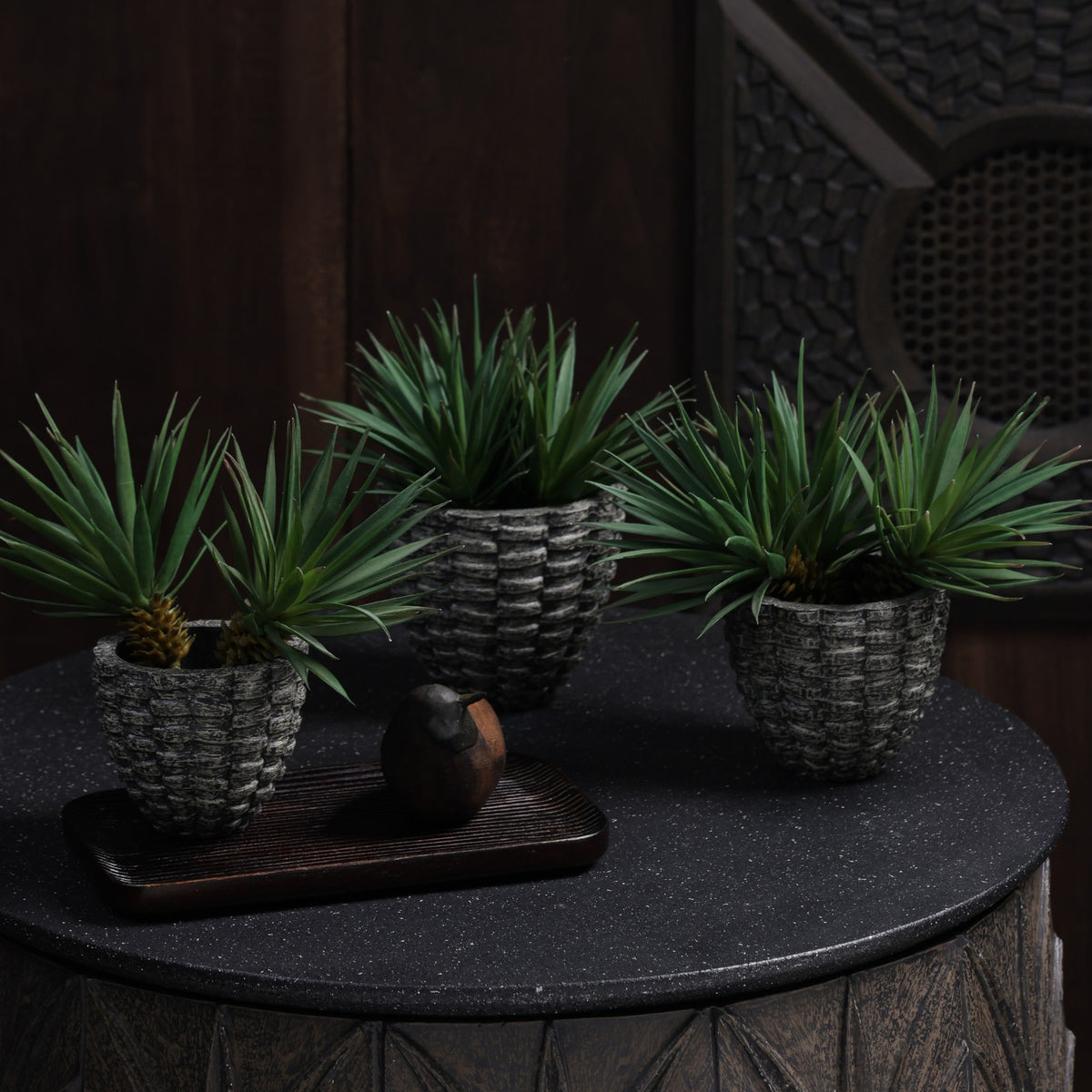 Pineara Succulent Holders - Grey
