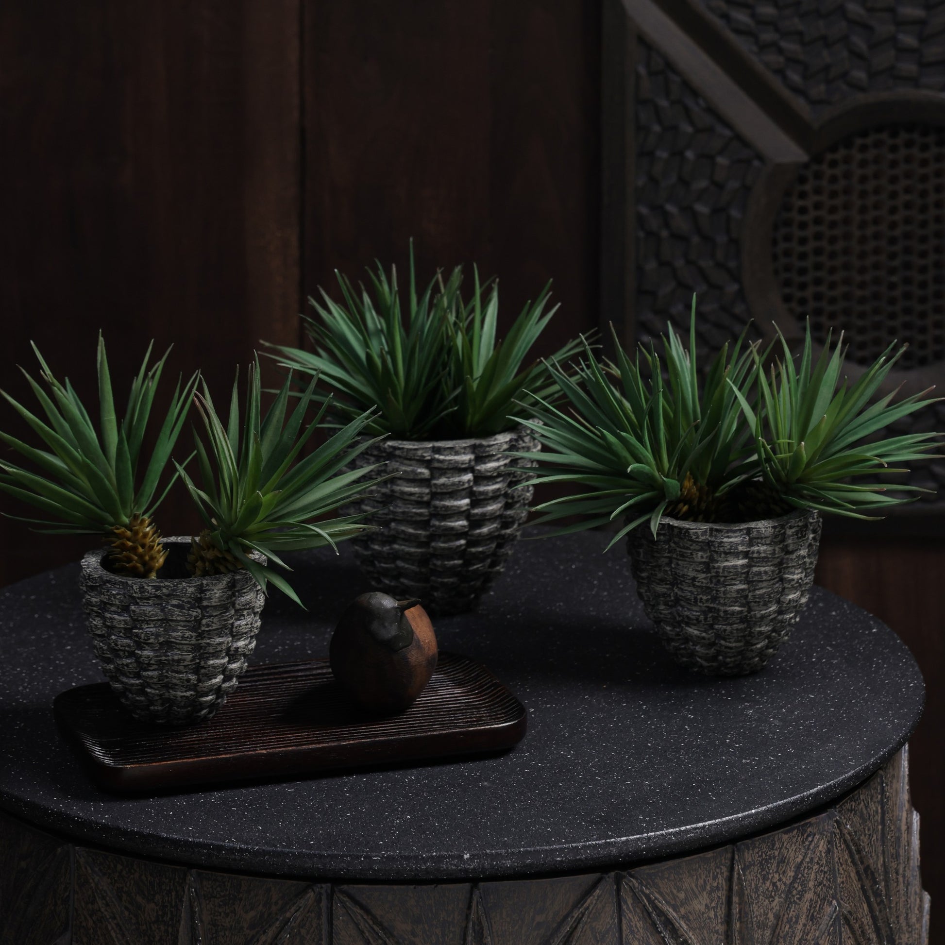 Pineara Succulent Holders - Grey