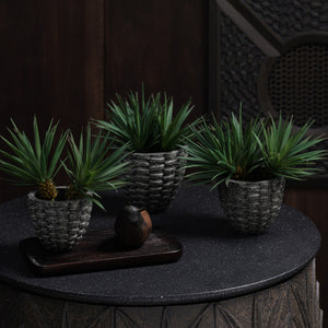 Pineara Succulent Holders - Grey