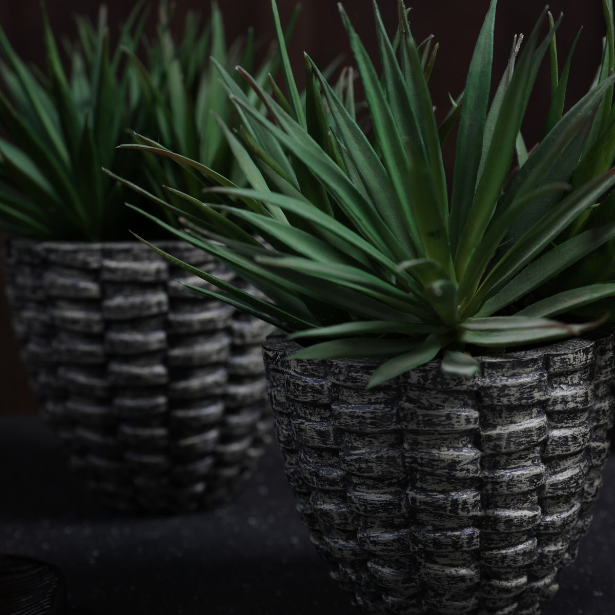 Pineara Succulent Holders - Grey