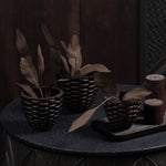 Pineara Succulent Holders - Copper