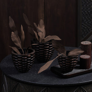Pineara Succulent Holders - Copper