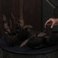 Pineara Succulent Holders - Copper
