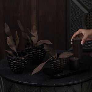 Pineara Succulent Holders - Copper