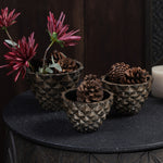 Geodara Succulent Holder - Silver