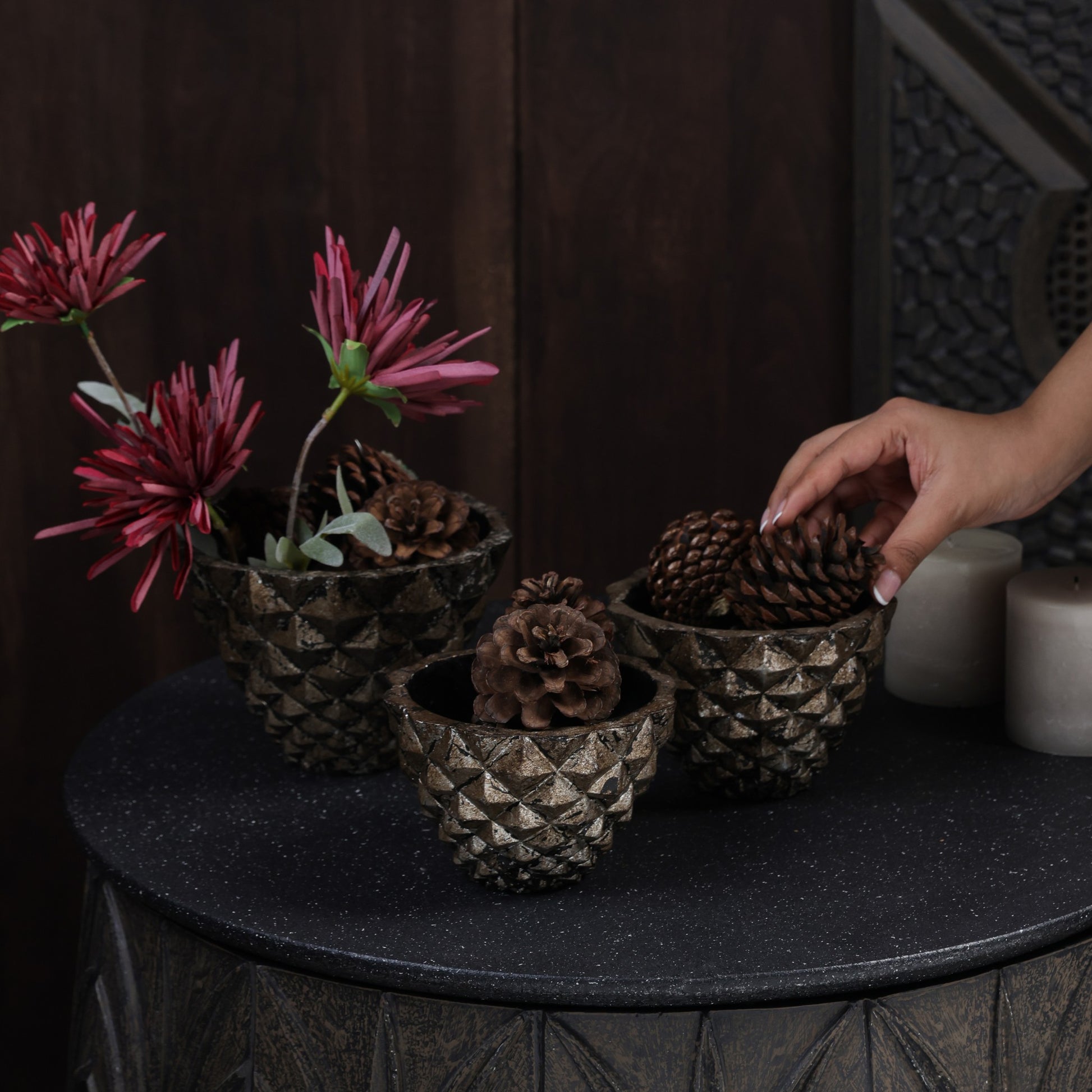 Geodara Succulent Holder - Silver