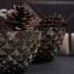 Geodara Succulent Holder - Silver