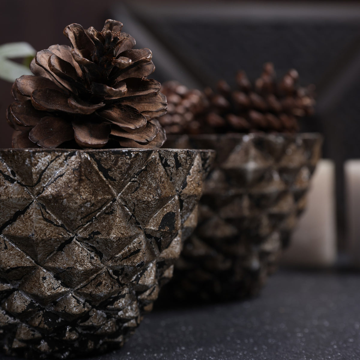 Geodara Succulent Holder - Silver