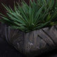 Foliara Weave Planter - Brown