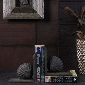 Nautillus Bookend - Brown
