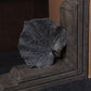 Zephyr Bookend - Brown