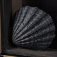 Nautillus Bookend - Brown
