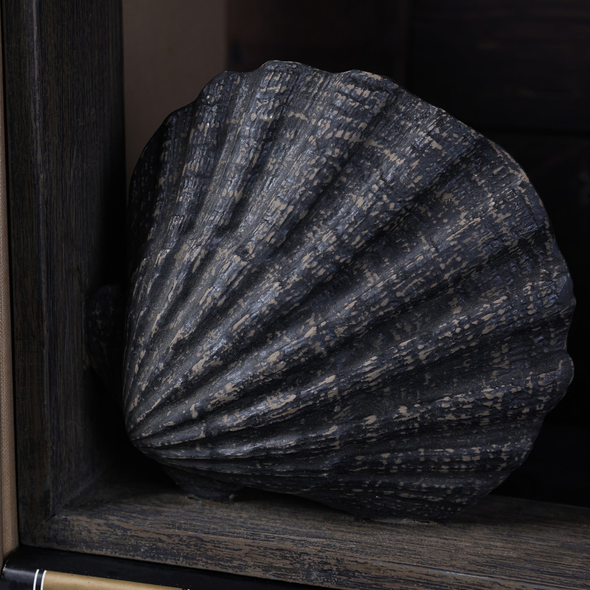 Nautillus Bookend - Brown