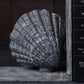 Nautillus Bookend - Grey