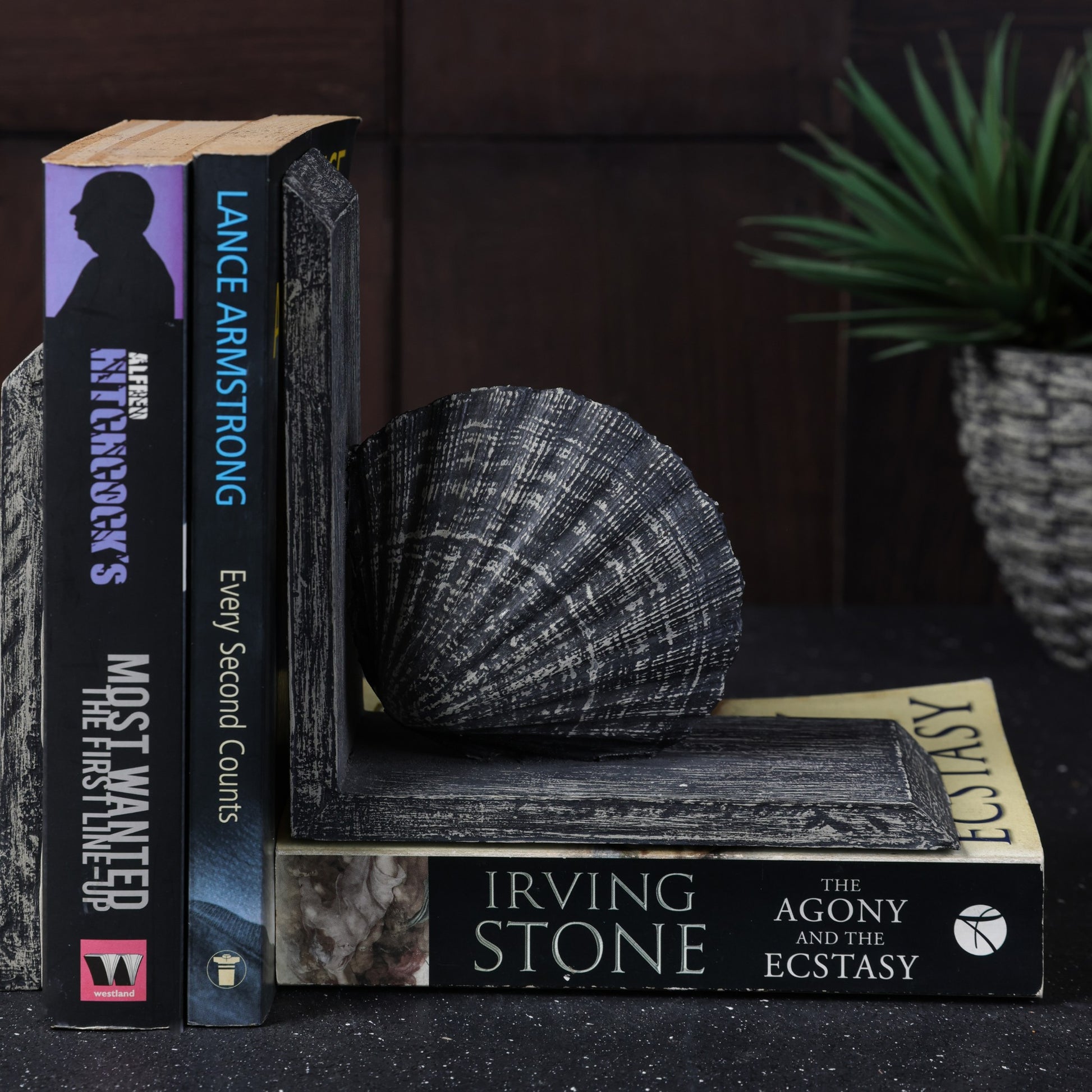 Nautillus Bookend - Grey