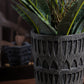 Petara Vase - Grey