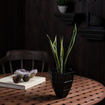 Petara Succulent Holder - Copper