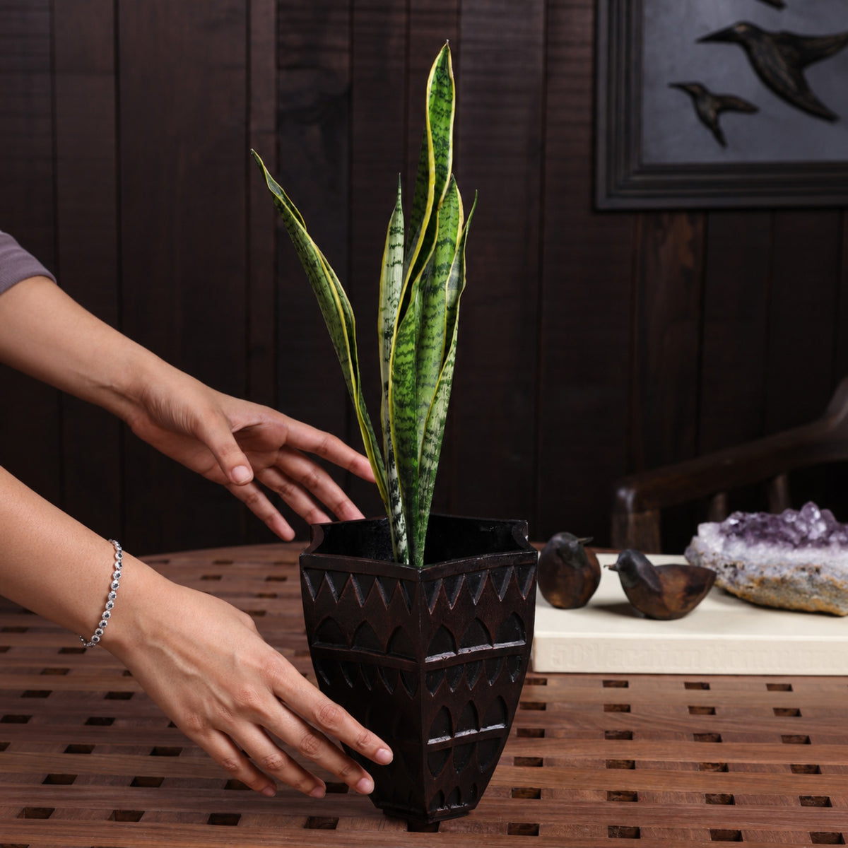 Petara Succulent Holder - Copper