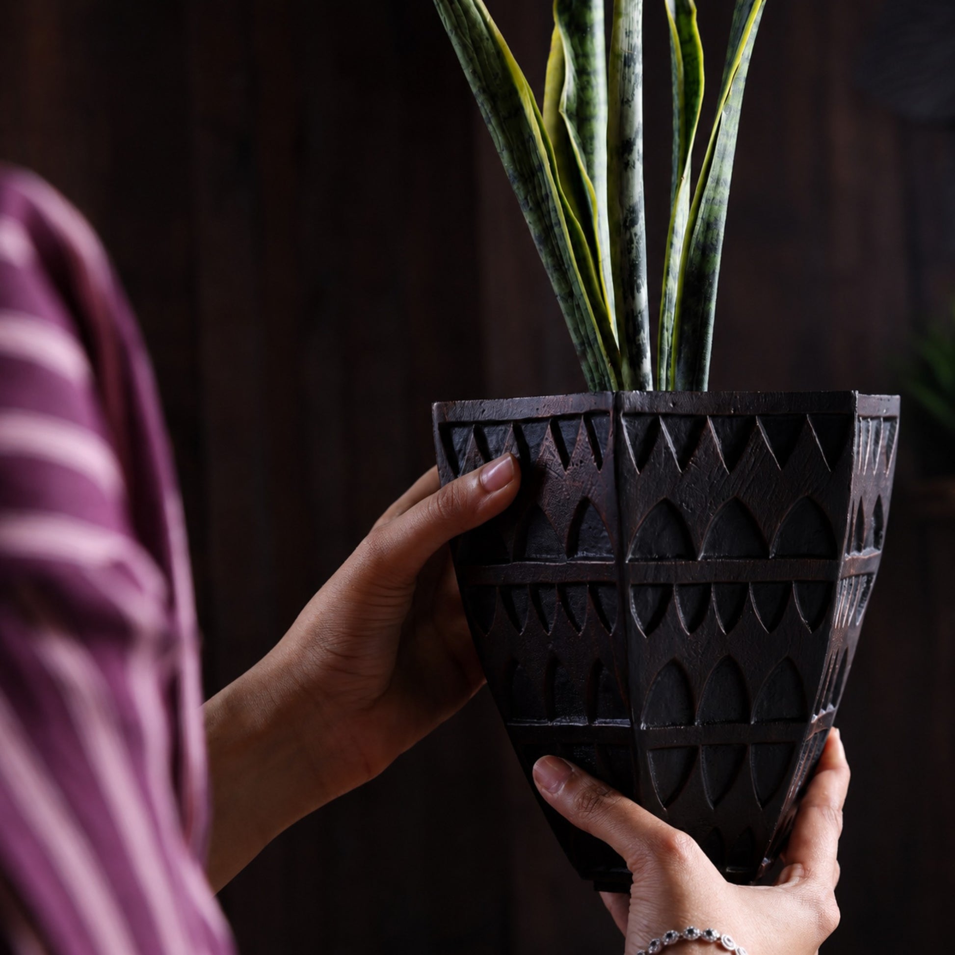 Petara Succulent Holder - Copper