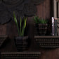 Petara Succulent Holder - Copper