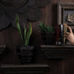 Petara Succulent Holder - Copper
