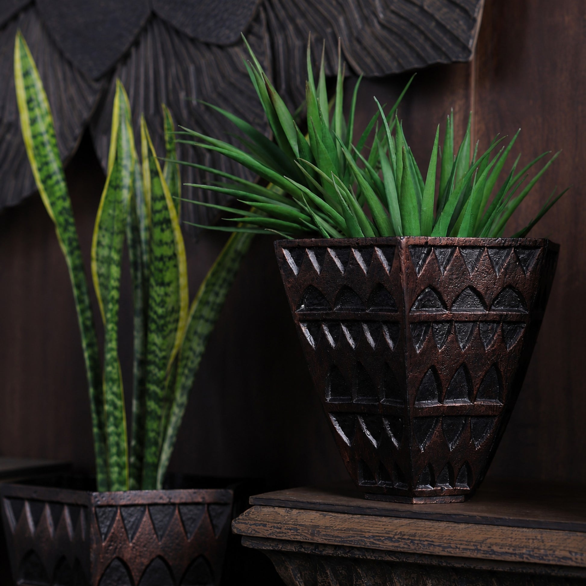 Petara Succulent Holder - Copper