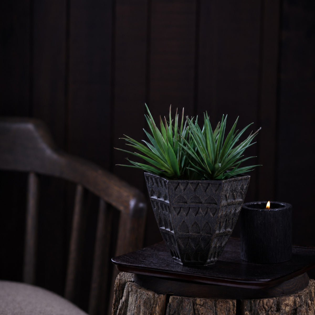 Petara Succulent Holder - Brown