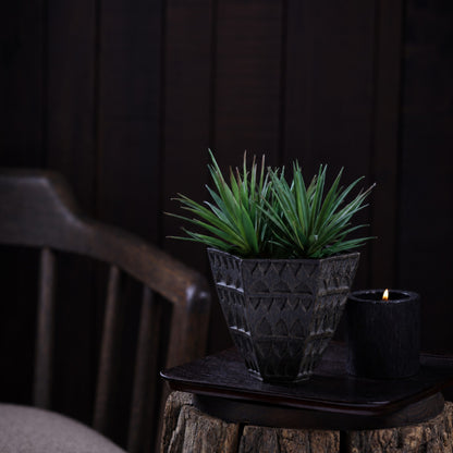 Petara Succulent Holder - Brown