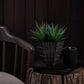 Petara Succulent Holder - Brown