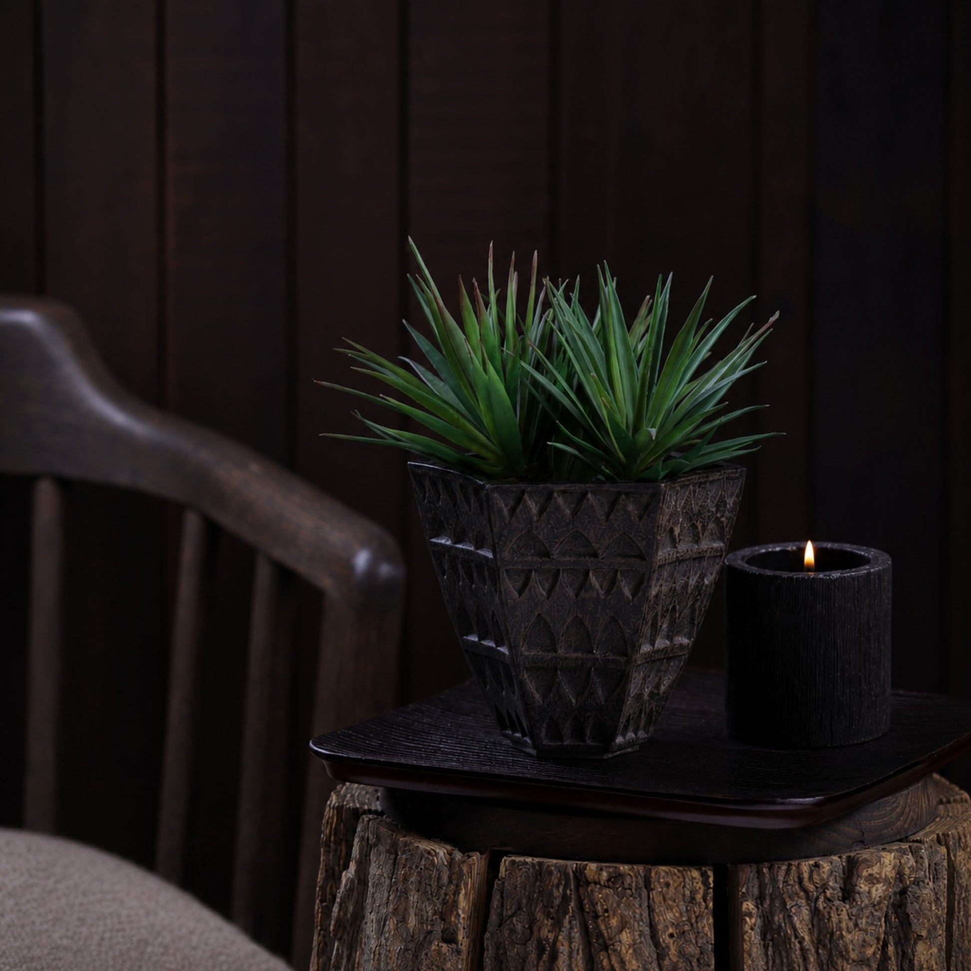 Petara Succulent Holder - Brown