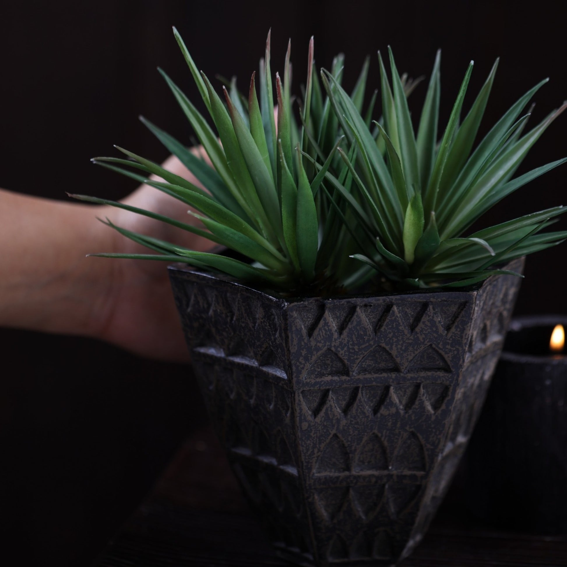 Petara Succulent Holder - Brown
