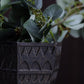 Petara Succulent Holder - Brown