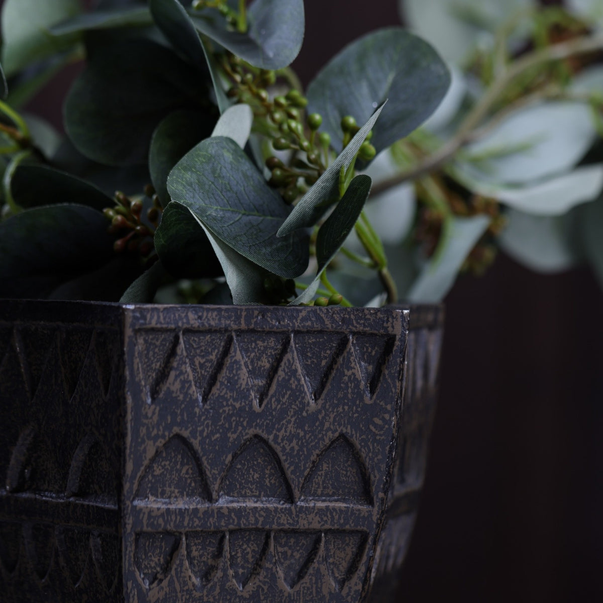 Petara Succulent Holder - Brown