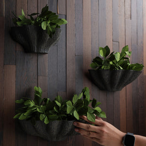 Corvara Wall Planter - Brown