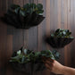 Corvara Wall Planter - Copper